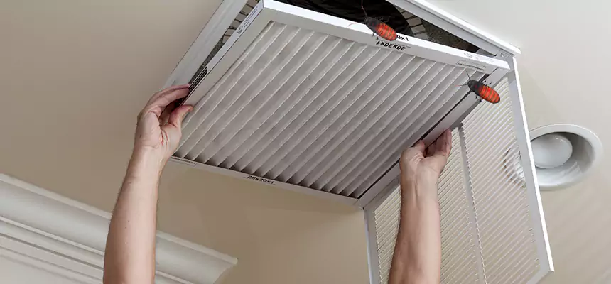 Preventive Cockroach-Proofing for Ducts in Tracy