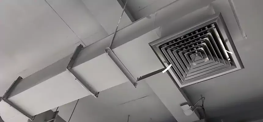 Our Pest Removal From Ducts Services in Tracy, CA