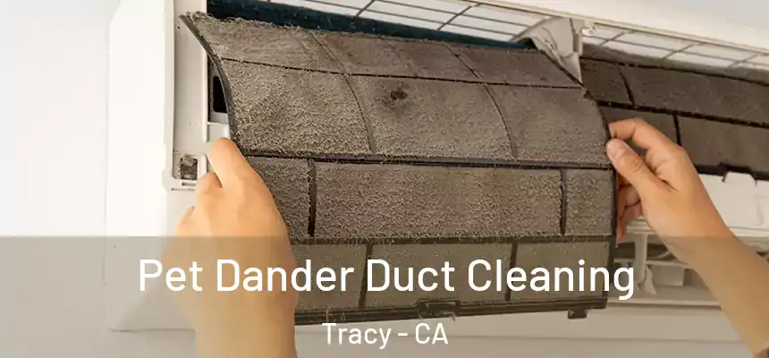 Pet Dander Duct Cleaning Tracy - CA