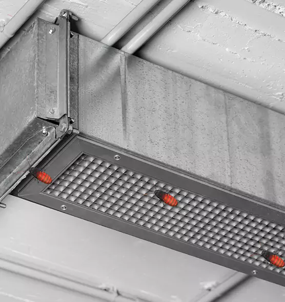 About Air Duct Cockroach Removal in Tracy, CA
