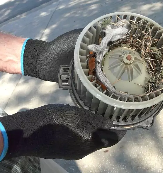 About Air Duct Mice Removal in Tracy, CA