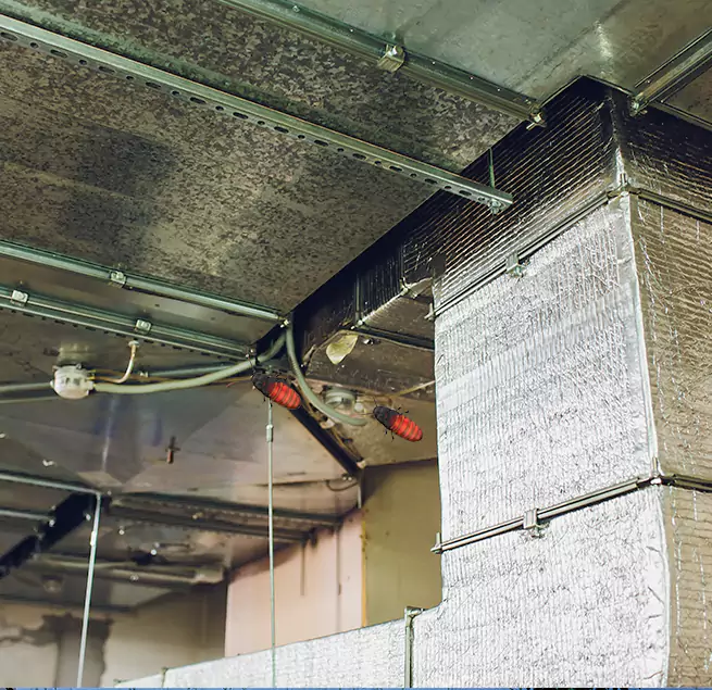 Why Homeowners & Businesses Trust Us in Tracy, CA?