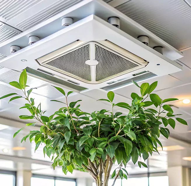 Why Homeowners & Businesses Trust Us in Tracy, CA